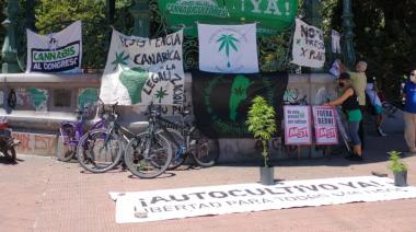 Marcha a Gobernación para pedir libertad a cultivadores de cannabis