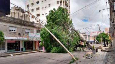 Sábado de destrozos: el viento golpeó fuerte en Olavarría y Azul
