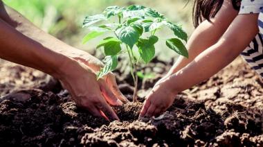 Congreso en febrero: Ley de educación ambiental