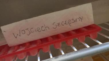 Creer o reventar: Las brujas de Twitter le dieron el triunfo a la Scaloneta