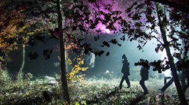 Muestra inmersiva en el Jardín Botánico: de qué trata y cuándo verla