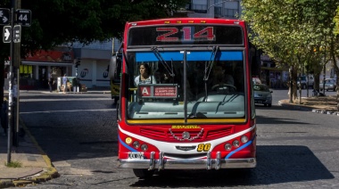 Feriado en La Plata: Así funcionarán los servicios