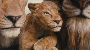 Mufasa: el trailer de la precuela de 'El Rey León'