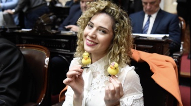 El descargo de la diputada libertaria ante su posible expulsión del bloque: "Se muestran como corderos y actúan como lobos"