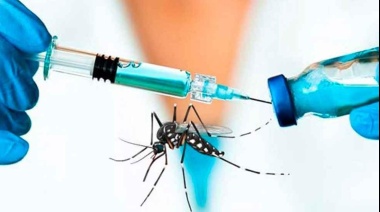 Vacuna contra el dengue: quiénes serán los primeros en recibirla