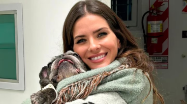 La tajante decisión de la China Suárez tras el fallecimiento de "Apolo", su perro