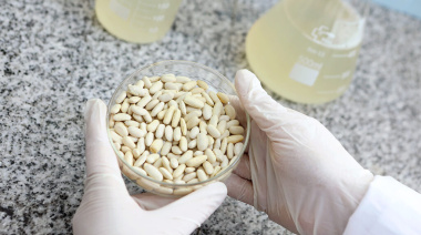 ¿Tirás el agua de los porotos? La UNLP descubrió que puede ser clave para alimentos saludables