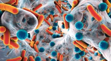 Tuberculosis: en los últimos cinco años los casos crecieron un 65% en Argentina