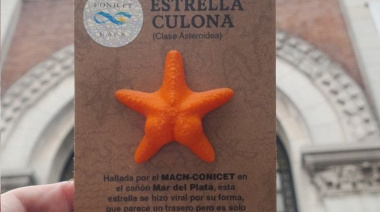 ¿Quién es "coni"? La estrella de mar que ya tiene su merchandising