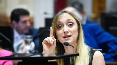 “Unión por la Plata”: el fallido de Anabel Fernández Sagasti que se viralizó en plena sesión del Senado