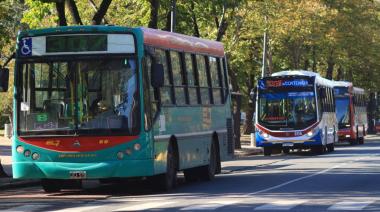La Plata renovará el sistema de colectivos: nuevas líneas, trasbordos y recorridos para todos los barrios