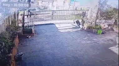 Arrastró a un perro con el auto en La Plata: fue filmada, denunciada y el animal está internado