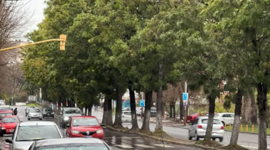 Nuevos radares en Berisso: dónde están y qué buscan controlar