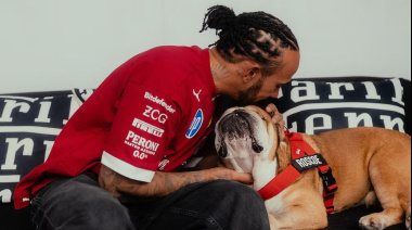 “La decisión más difícil de mi vida”: Hamilton anunció la muerte de su perro Roscoe