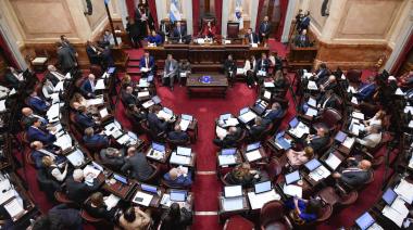 El Senado volvió a frenar los vetos de Milei