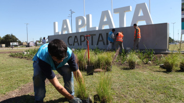 Lanzan nueva etapa de forestación en la emblemática Avenida 44 de La Plata