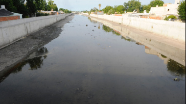 ¿Viagra en el arroyo Del Gato?: qué descubrió el Conicet en los arroyos de La Plata