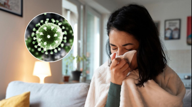 Preocupación en La Plata y Buenos Aires por la gripe H3N2