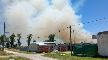 La Plata: incendio en una cantera en barrio Frisón