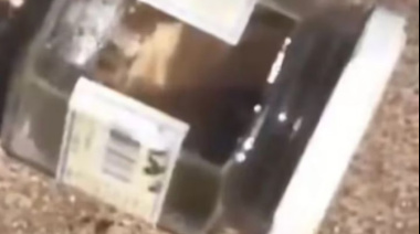 Ritual Umbanda en Mar de las Pampas: hallan un dedo humano en la playa