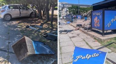 Un conductor se descompensó, subió a Plaza Moreno y chocó contra el puesto El Pulpito