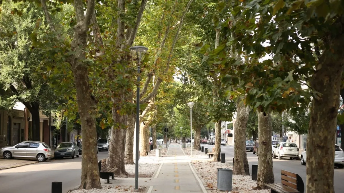 Clima en La Plata: anticipan un fin de semana estable tras la ola de calor