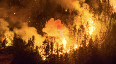 Incendios en la Patagonia: Nación dejó casi $20 mil millones sin ejecutar y proyecta más recortes