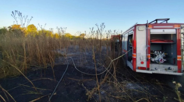 Incendio en un descampado cerca del Parque Pereyra Iraola generó alarma vecinal