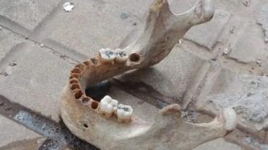 Conmoción en el centro de La Plata por el hallazgo de restos óseos