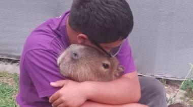 Encontraron a Poroto, el carpincho más querido de Punta Lara