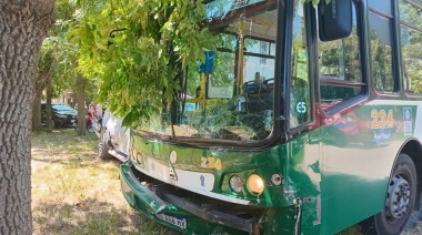 Punta Lara: cuatro heridos leves tras un choque entre una Hilux y el 275