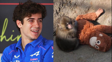 Colapinto reveló cuál es su “imperio romano”: el monito Punch