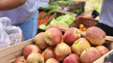 Nuevas ofertas en el Mercado Bonaerense Fijo de La Plata con descuentos para jubilados y reintegros con Cuenta DNI