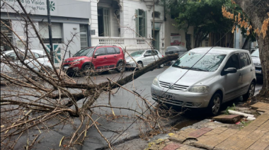 La tormenta pasó por La Plata y se vivieron momentos de tensión