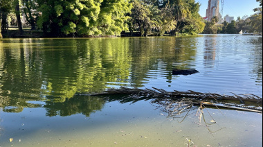 El increíble hallazgo en el Lago del Bosque de La Plata que recorre el mundo