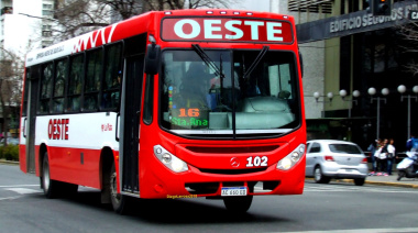 La Plata: más de 500 mil usuarios dejaron el colectivo en un año