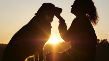 Día del Animal: por qué se celebra el 29 de abril en Argentina