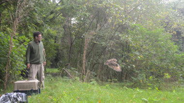 El Bioparque de La Plata liberó tres aves rapaces tras su rehabilitación