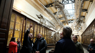 La UNLP avanzó con la restauración integral del Museo de Ciencias Naturales