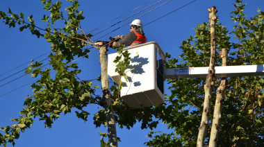 Habrá cortes de tránsito en una transitada diagonal de La Plata por trabajos de poda