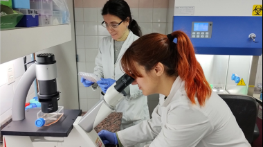 La Academia Nacional de Ciencias alertó por la fuga de cerebros en el sistema científico