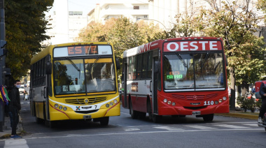 Los motivos que mantienen frenada la licitación de los micros en La Plata