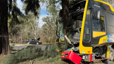 Impactante choque entre un micro de la Línea 202 y un auto en Berisso: más de 20 heridos