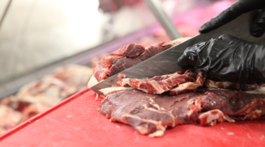 Mercado Bonaerense Fijo La Plata: precios y ofertas de esta semana