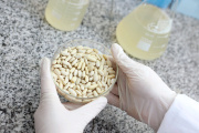 ¿Tirás el agua de los porotos? La UNLP descubrió que puede ser clave para alimentos saludables
