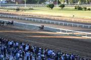 Visitas guiadas para todos en el Hipódromo de La Plata