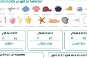 El streaming del Mar Argentino ahora tiene su propio álbum de figuritas digital para chicos