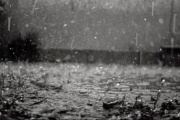 La Plata bajo alerta amarillo por tormentas, ¿cuándo llueve?