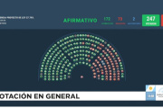 Diputados rechazó el veto a la ley de emergencia en discapacidad