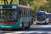 La Plata renovará el sistema de colectivos: nuevas líneas, trasbordos y recorridos para todos los barrios